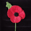 images/articles/small/lest_we_forget_3.1.jpg