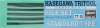 Hasegawa TT-15 File Set "Standard Type"