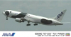 Hasegawa 10682 1/200 Boeing 767-300 "FLY! Panda" (ANA)