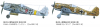 TAM_61104_marking