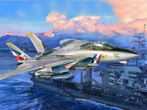 Trumpeter 03203 1/32 F-14D Super Tomcat