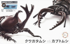 Fujimi 025(17086) Japanese Rhinoceros Beetle vs Stag Beetle