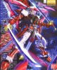 Bandai MG-0162047 1/100 Gundam Astray Red Frame