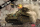 Das Werk DW35008 1/35 Borgward IV Panzerjaeger Wanze